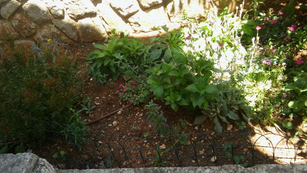Apartmani Vitkovic II 茨雷斯 外观 照片